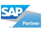SAP Solutions Support