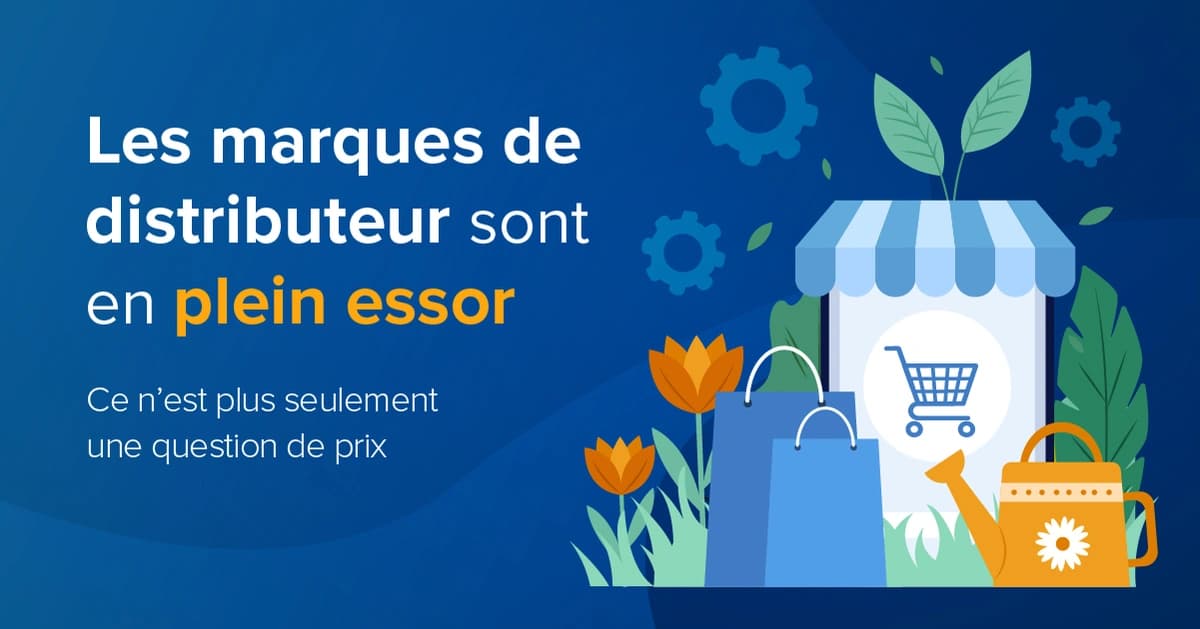 Stratégies de tarification des marques de distributeur featured image