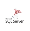 Microsoft sql server icon